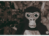 VR社交游戏《Gorilla Tag》上线仅两周就吸引4.2万用户